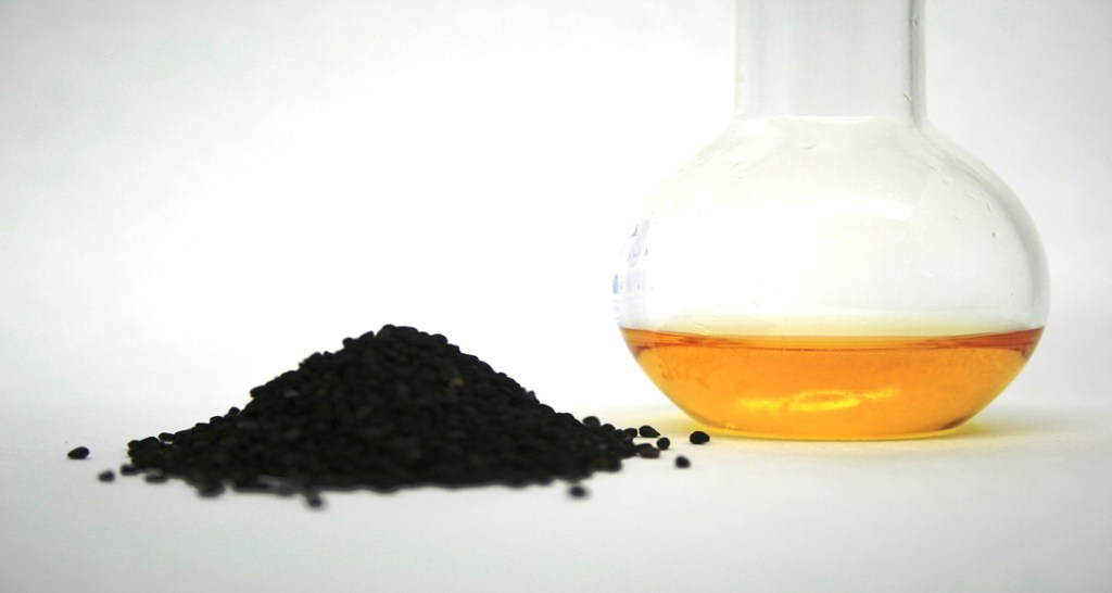 10 Health Benefits of Black Seed&nbsp;Oil
