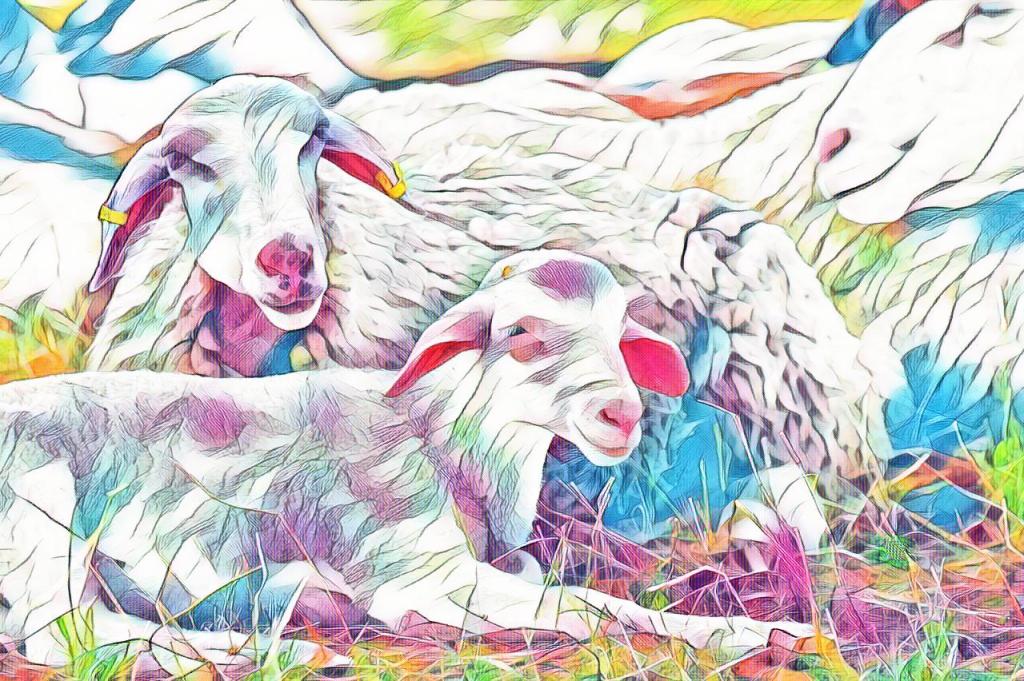 Being Different is the New&nbsp;Normal